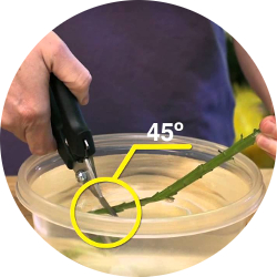 Обрезание стебля